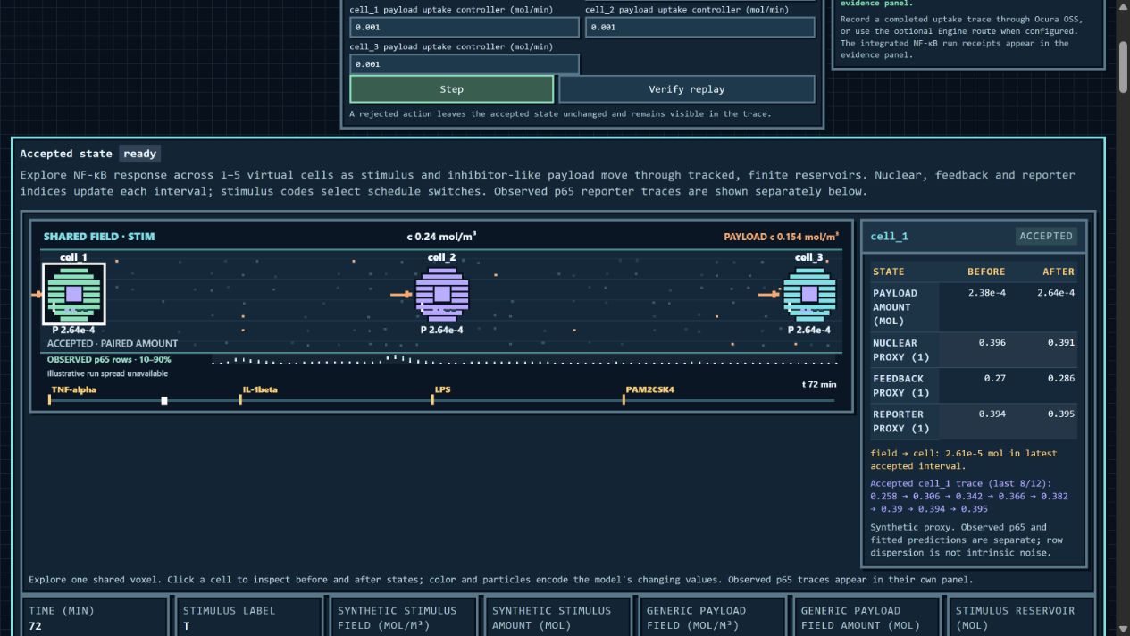 Csim’s virtual-cell playground with three cells sharing a stimulus field and an inspector showing the selected cell’s before-and-after state.